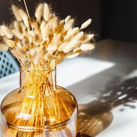 Bel Rdc Avec Parking Gratuit * Кан