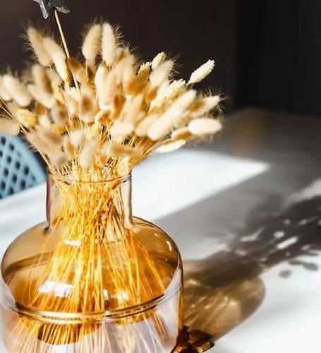 Bel Rdc Avec Parking Gratuit * Кан